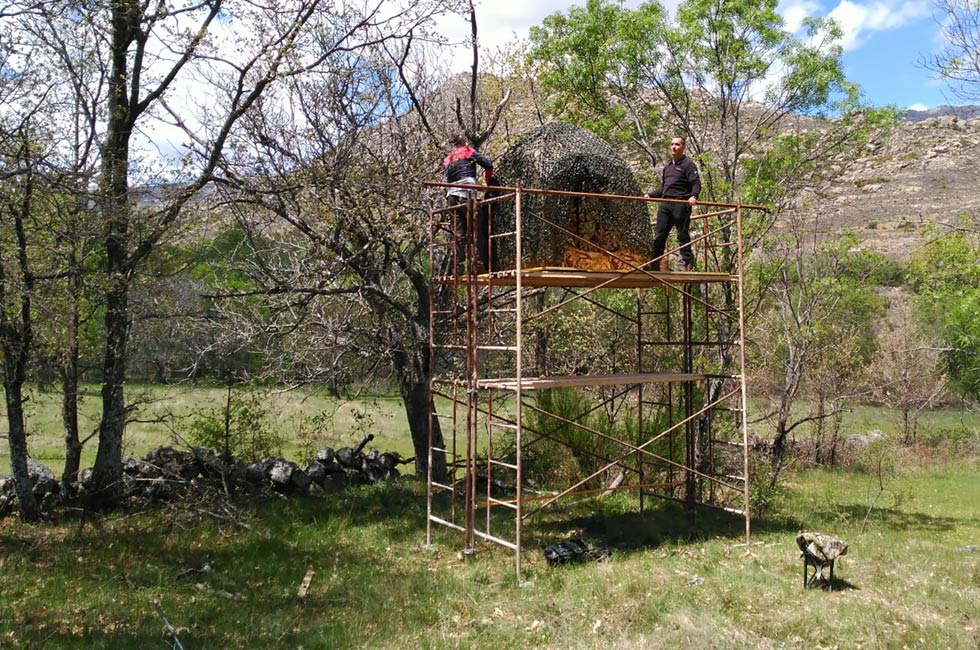 Fotografiando  al Pico menor